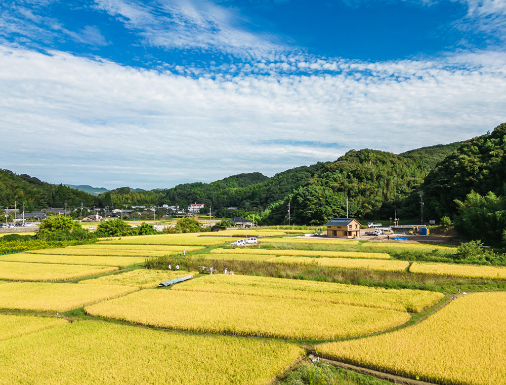 シンケン／完成見学会／10月28日(土)～11月5日(日)／099-286-0055／会場：鹿児島市郡山(川田町)